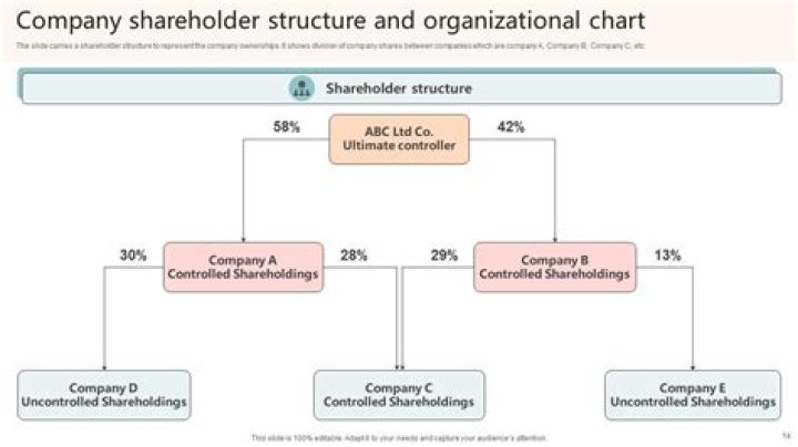 Can S Corp shareholders have different basis?