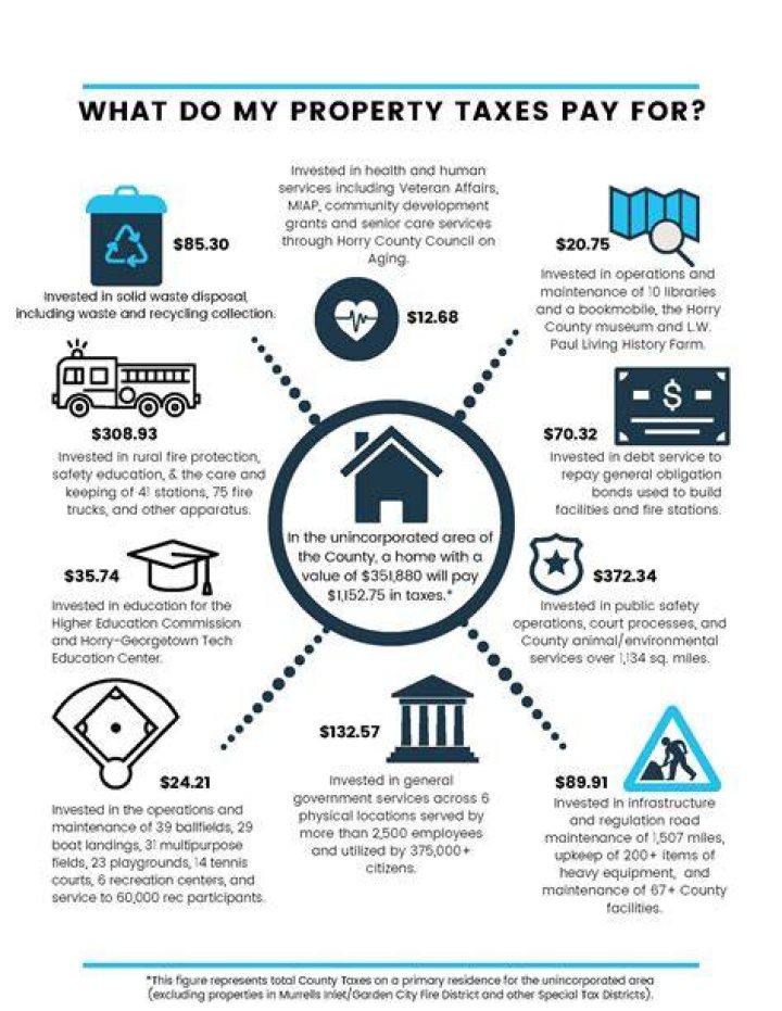 Do owners pay taxes?