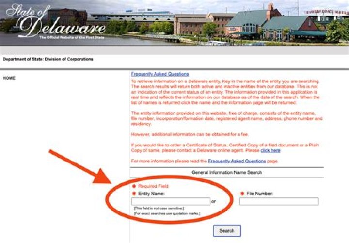 How does a Delaware LLC work?