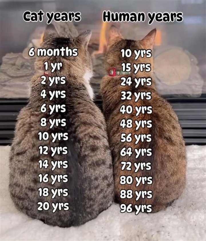 How many years has it been at work?
