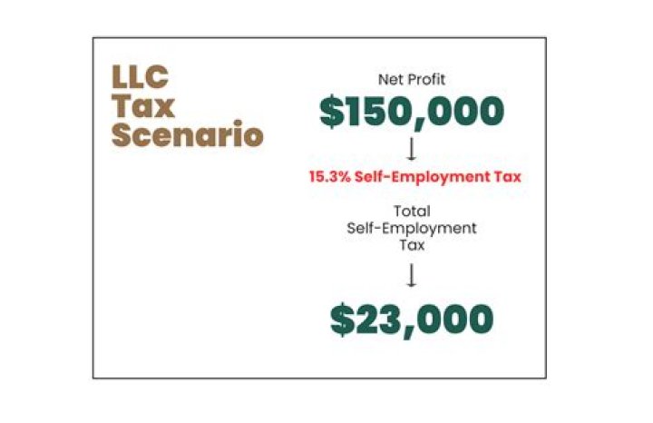 Is S-Corp owner self-employed?