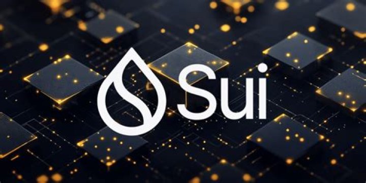 Is Sui based on where you work or live?