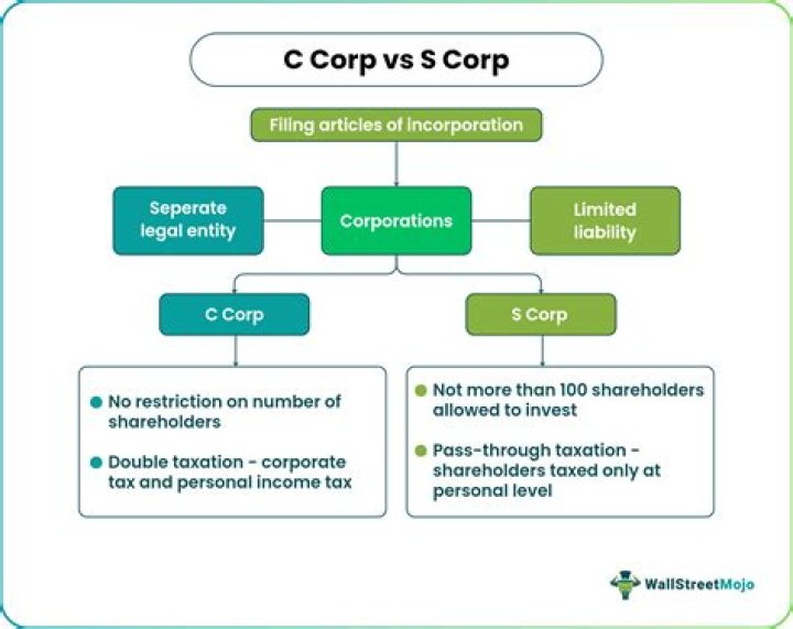 What can an S corp expense?