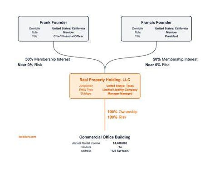 What does an investment LLC do?