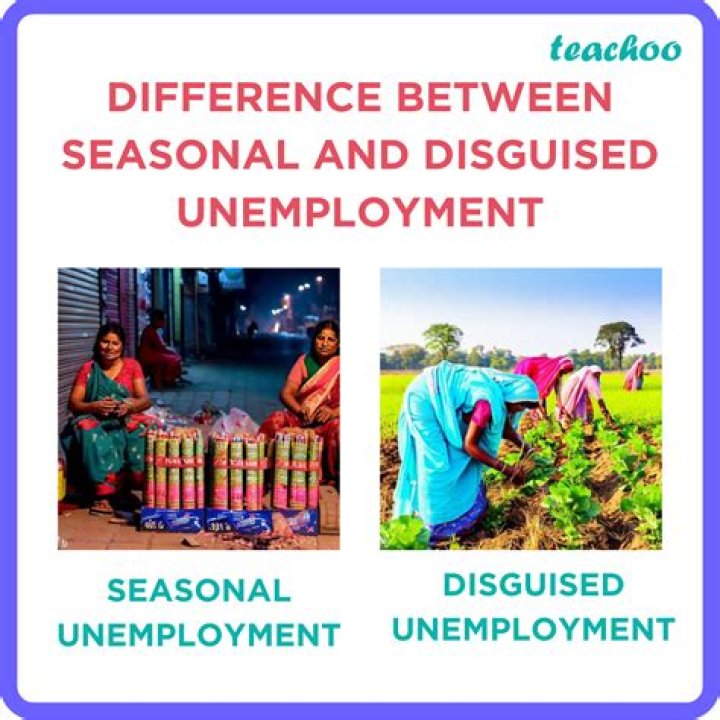 What is the difference between employed and gainfully employed?