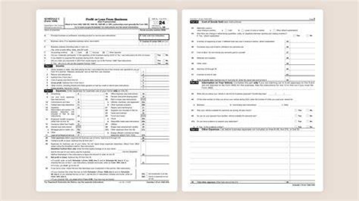 What tax form does an LTD file?